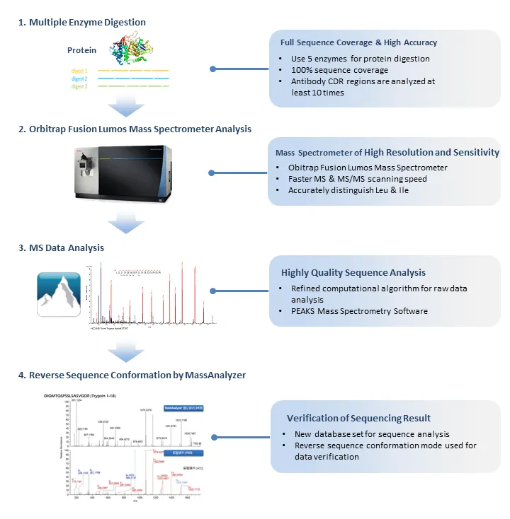 1959859327876059136-mass-spectrometry-based-protein-sequencing-service5.png