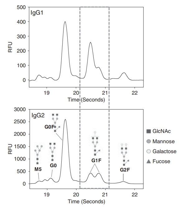 high-throughput-antibody-glycans-screening-service1.jpg