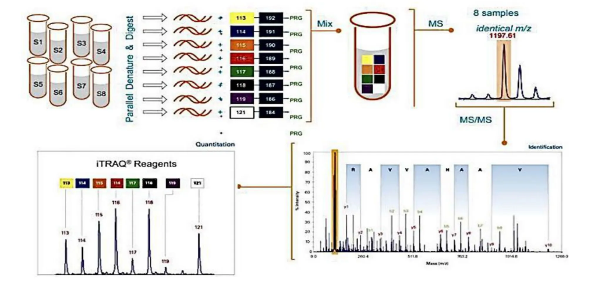 1960547652358230016-di-methyl-labeling-proteomics-analysis-service2.png