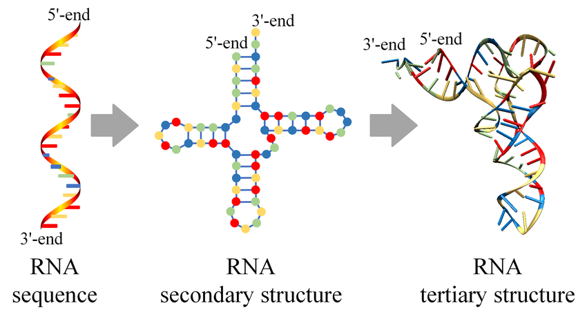 dnarna-drug-structural-characterization-service1.png