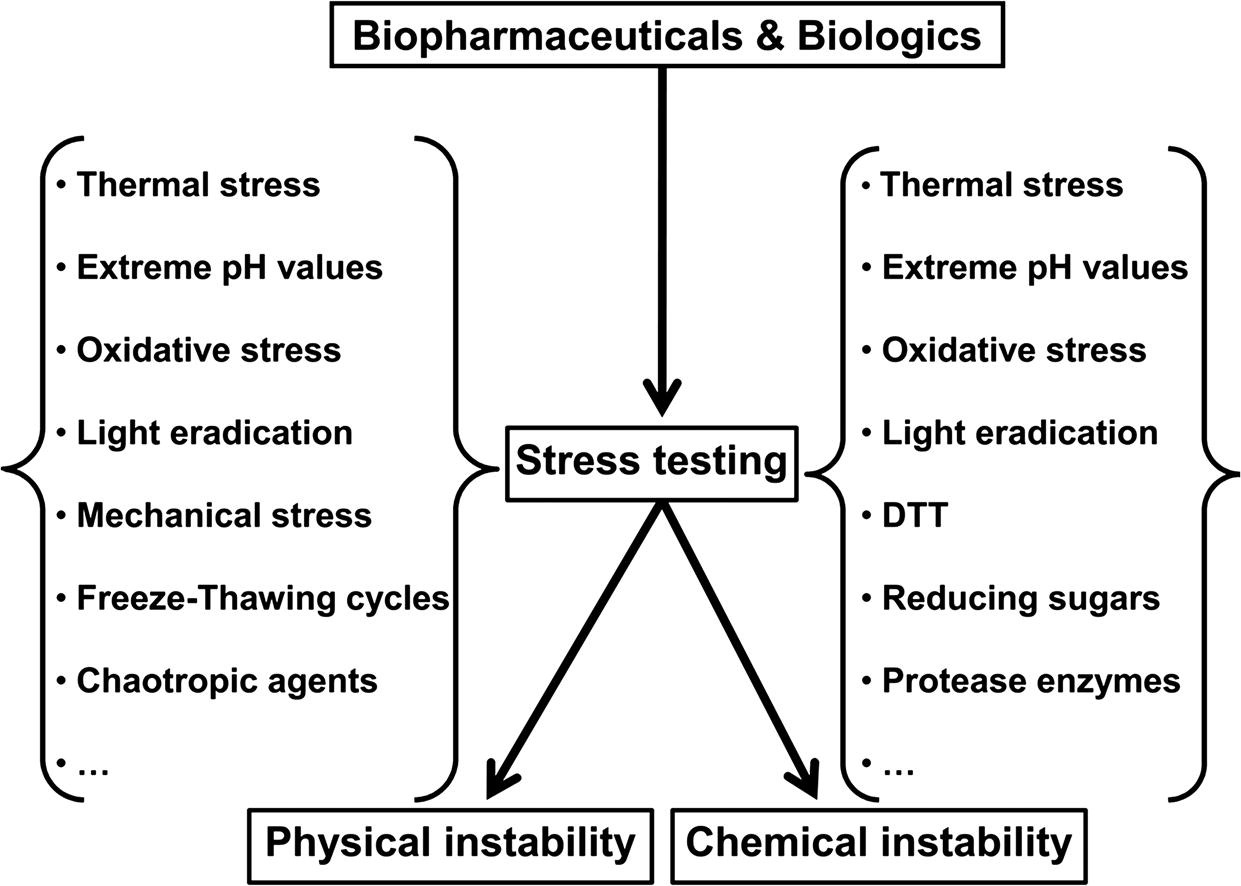 dnarna-drug-forced-degradation-analysis-service1.jpg