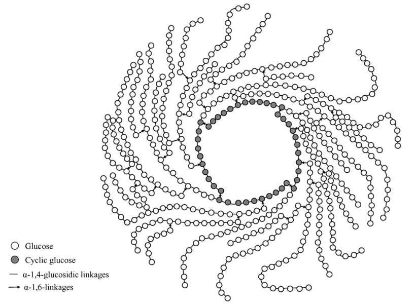 dextrin-analysis-service-pharmaceutical-excipient