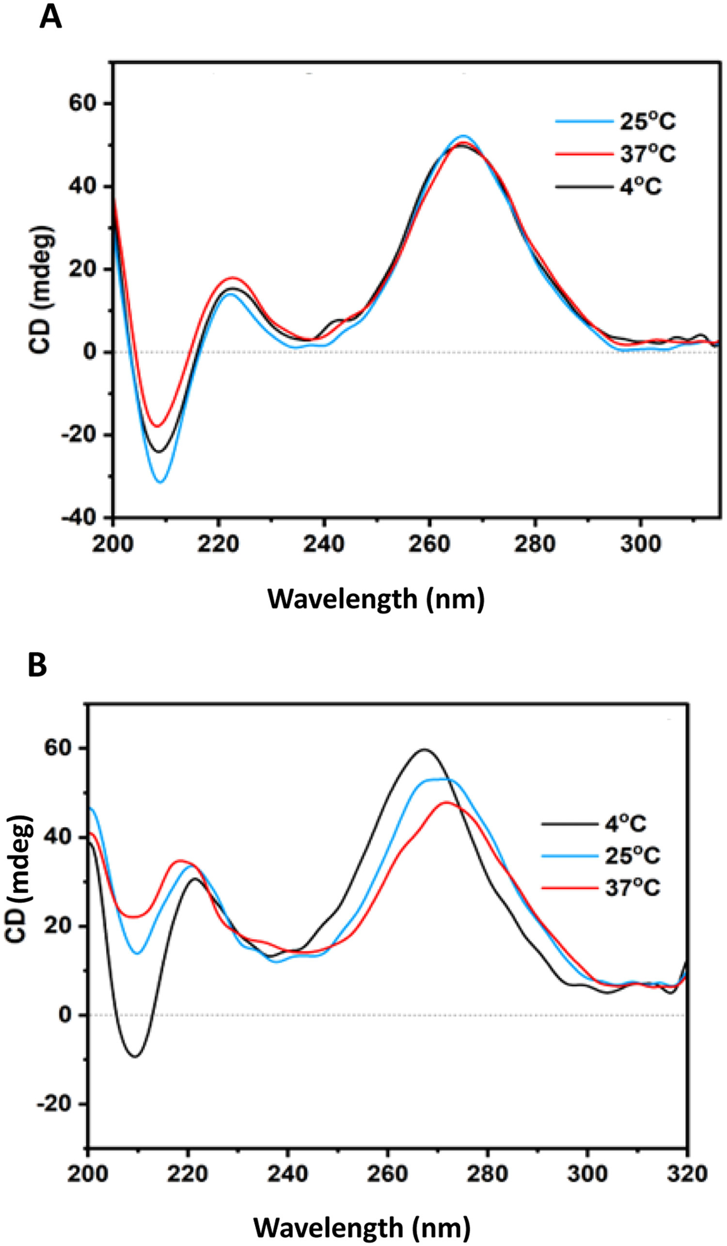 dna-rna-drug-stability-analysis-service