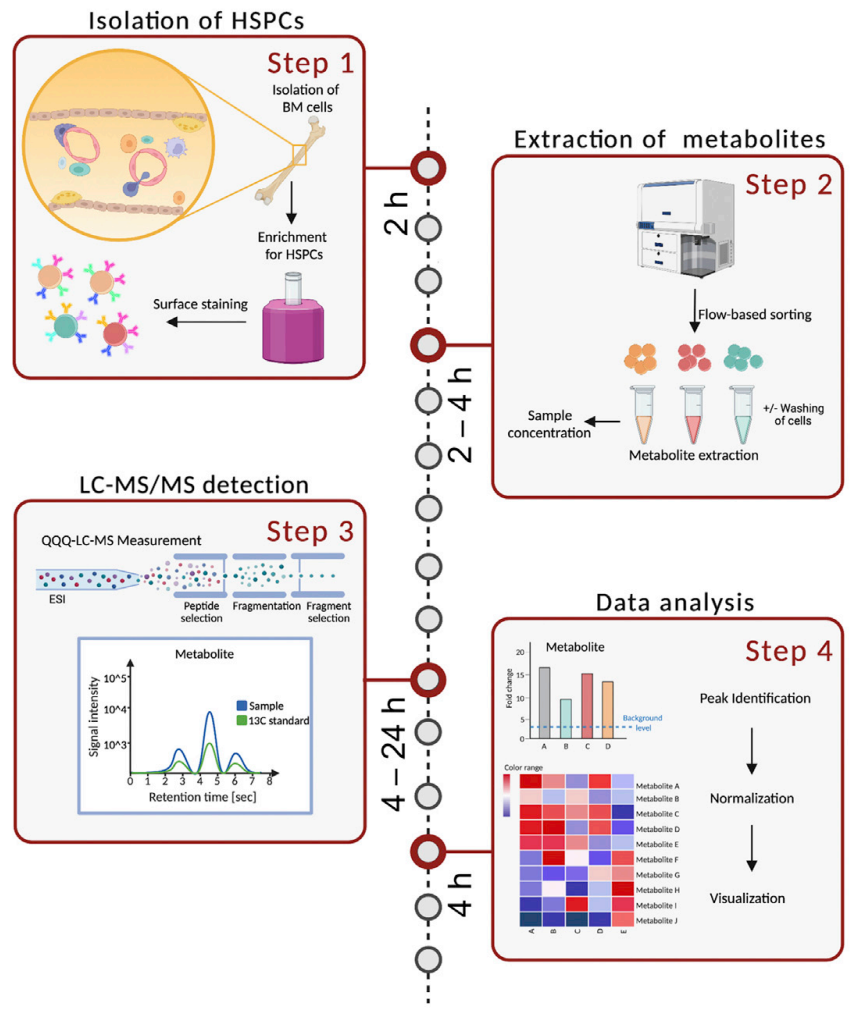 lc-ms-ms-analytical-service