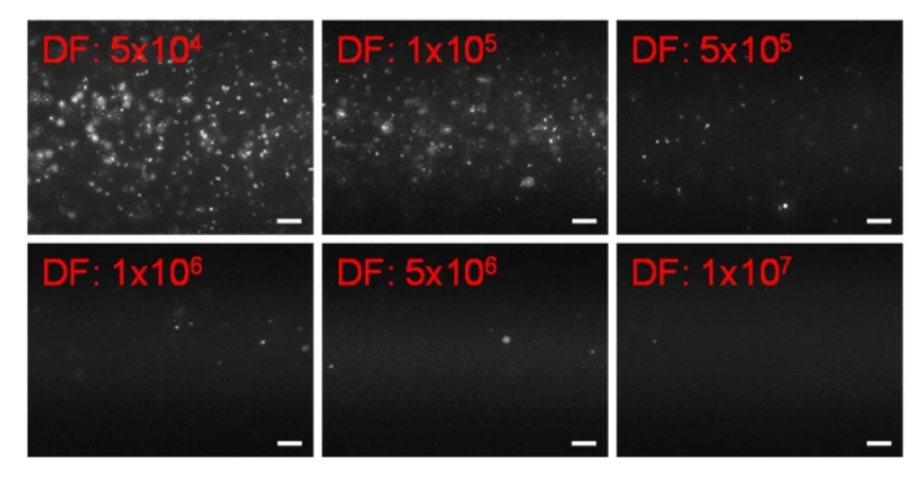 nanoparticle-tracking-analyzer-nta-analytical-service-2