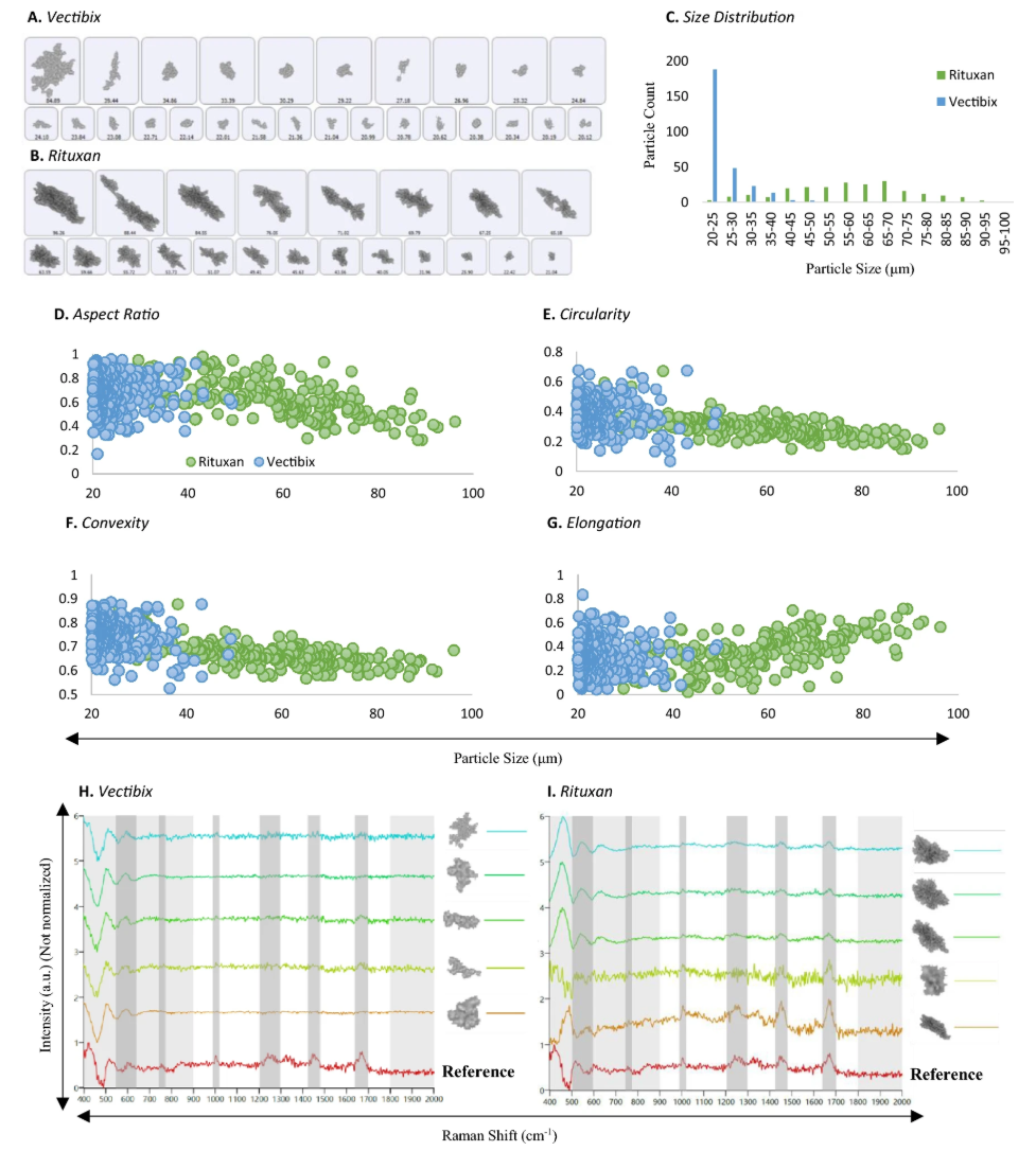 morphologically-directed-raman-spectroscopy-mdrs-analysis-service