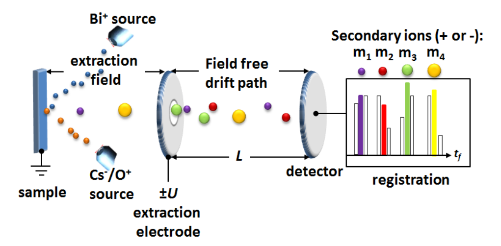 1963833354621669376-time-of-flight-secondary-ion-mass-spectrometry-tof-sims-analytical-service1.PNG