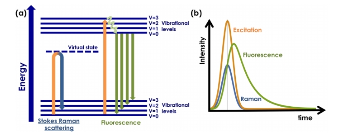 raman-fluorescence-spectroscopy-analytical-service-1
