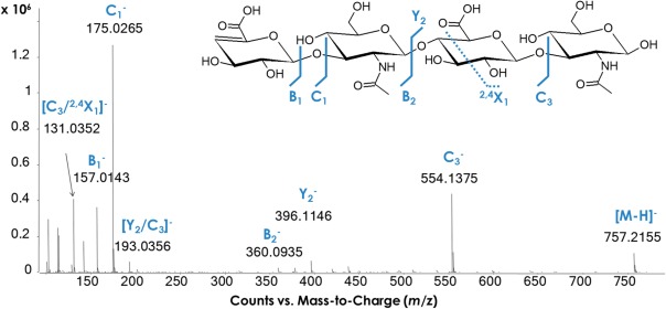 hyaluronan-analysis-service