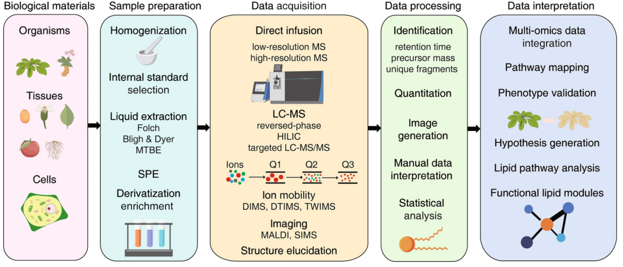 mass-spectrometry-based-lipidomics-analysis-service-1