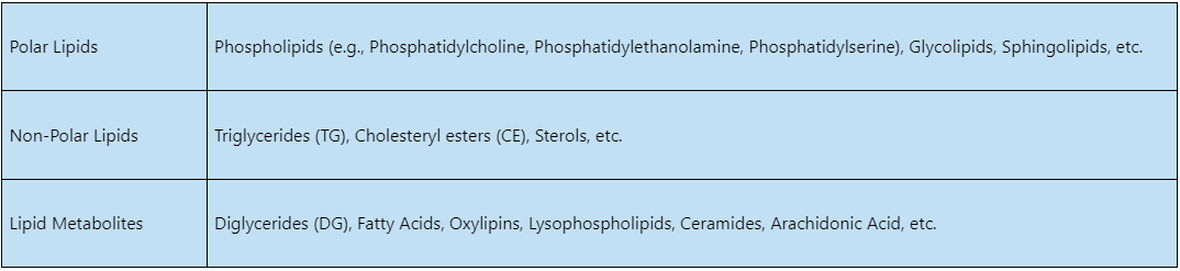lipidome-identification-service-1