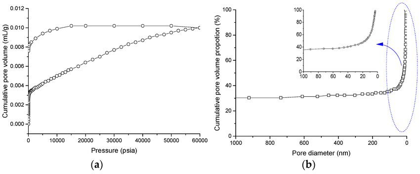 micropore-measurement-analysis-service1.png