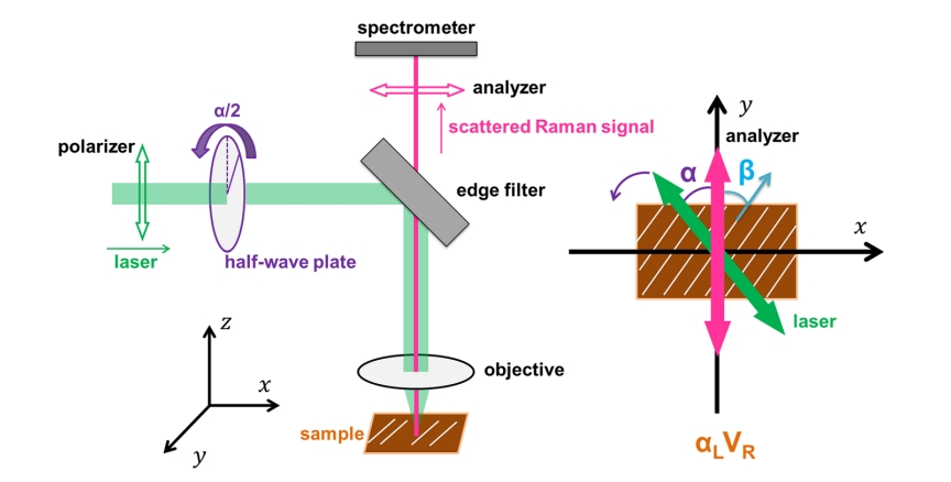 polarized-raman-spectroscopy-analytical-service-1