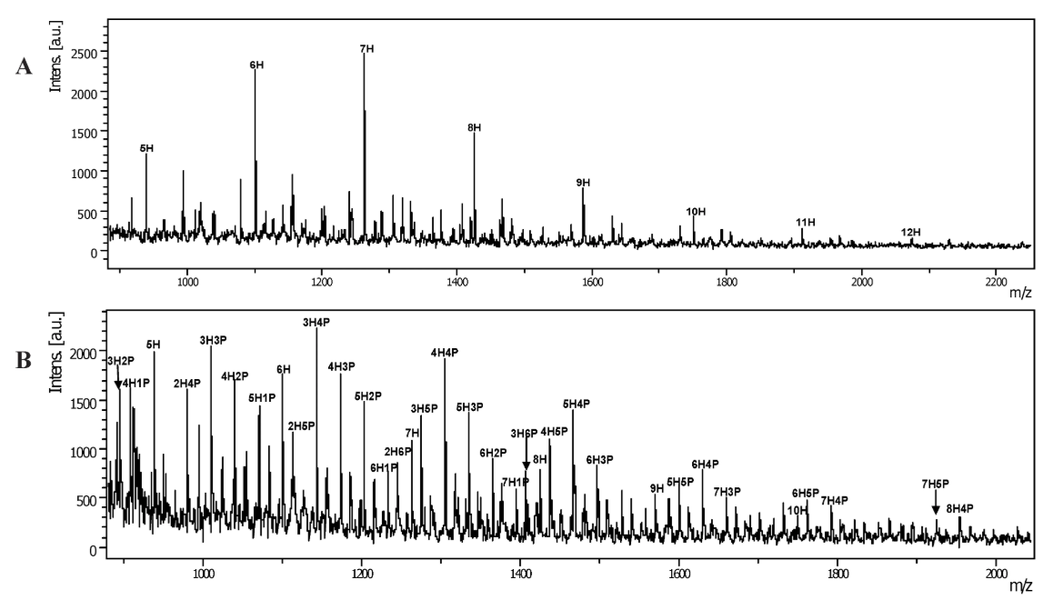 metabolites-molecular-weight-measurement-service-1