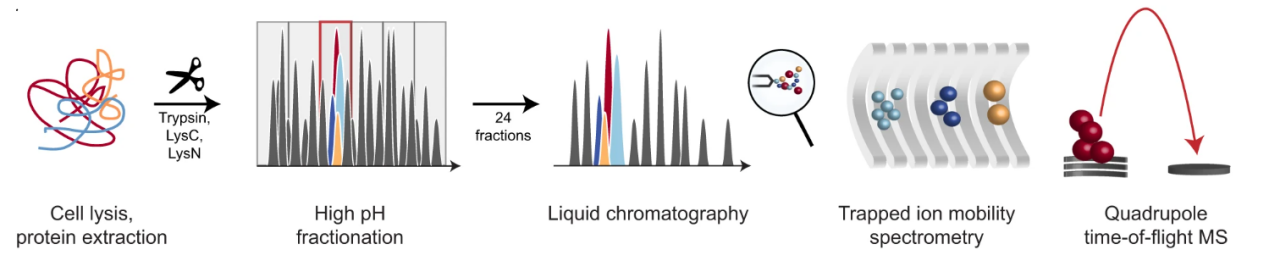 collisional-cross-section-measurement-service