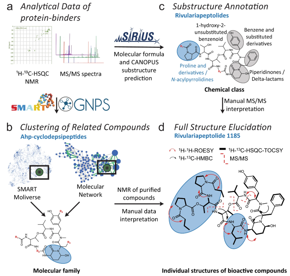 metabolites-structural-elucidation-service-1