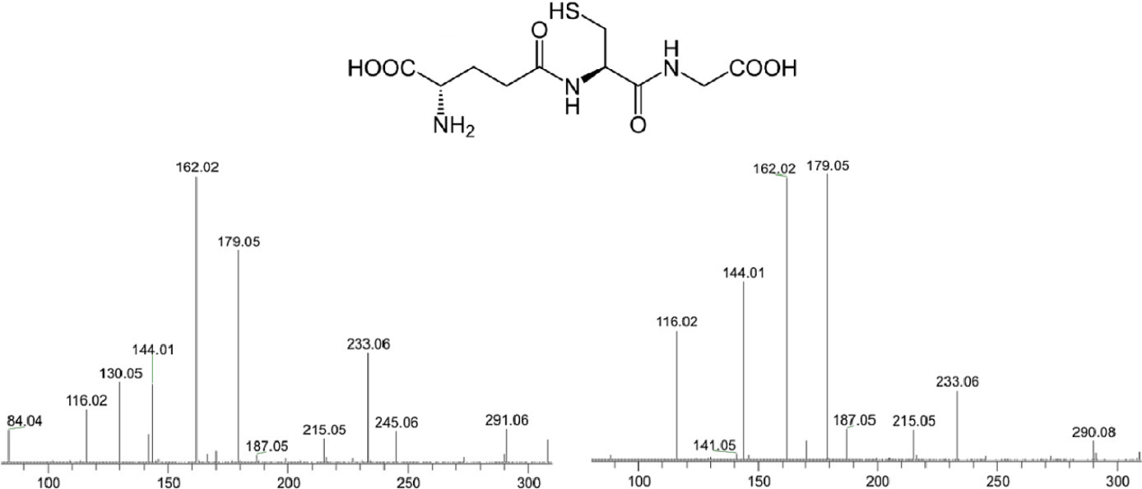 msms-or-msn-measurement-service-1