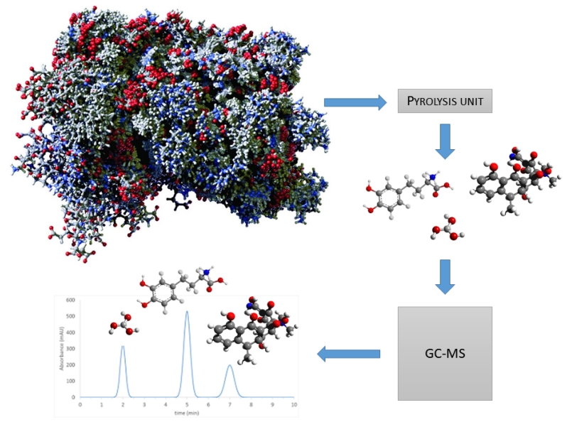 pyrolysis-gas-chromatography-mass-spectrometry-py-gcms-analytical-service-1