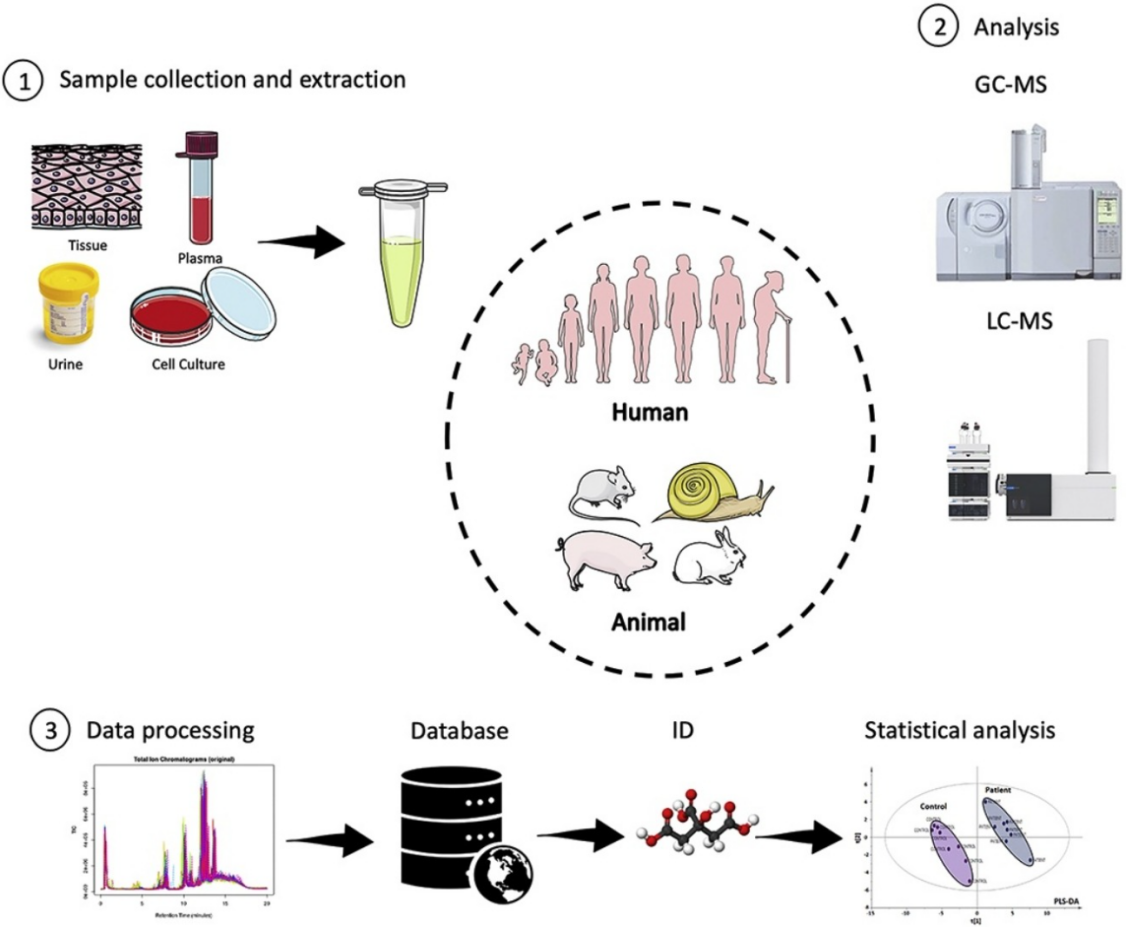 untargeted-metabolites-profiling-service1