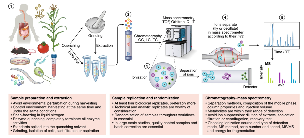 mass-spectrometry-based-metabolomics-analysis-service-1