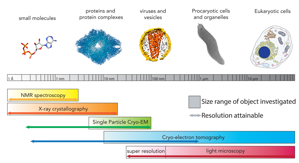 1977627486058041344-structural-biology-service1.png