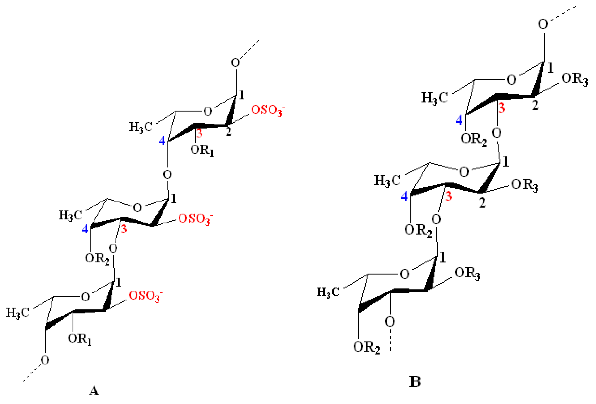 fucoidan-analysis-service1.png