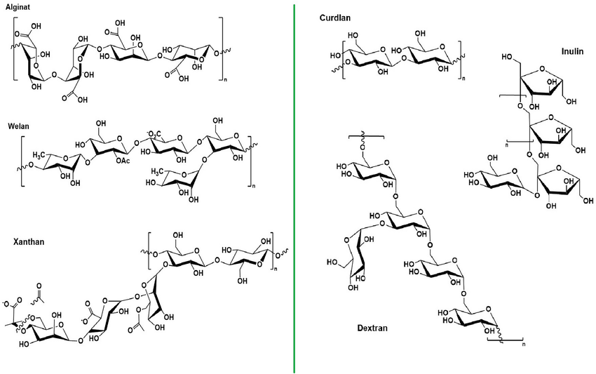 1978304690312040448-heteropolysaccharides-analysis-service1.png