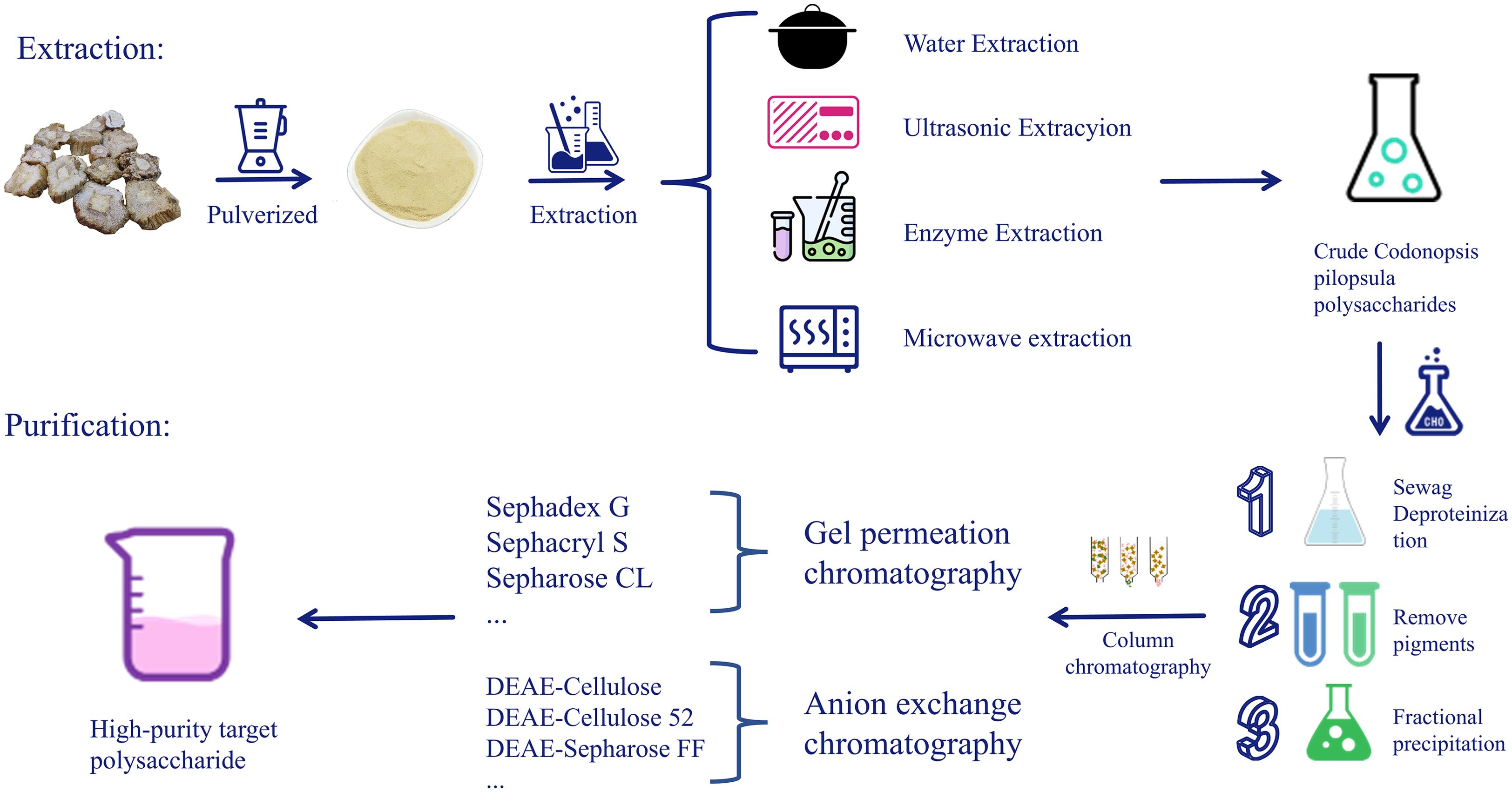 1978390459676479488-polysaccharide-isolation-and-purification-service2.jpg