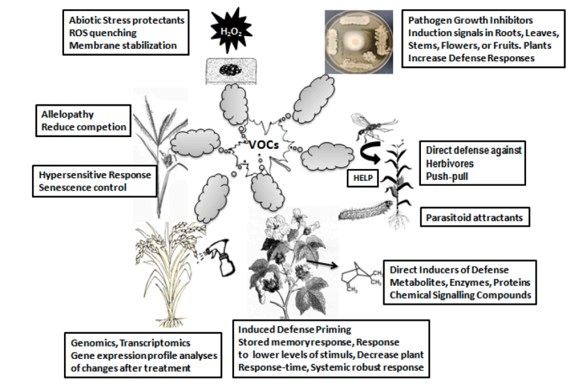 agricultural and plant research-3