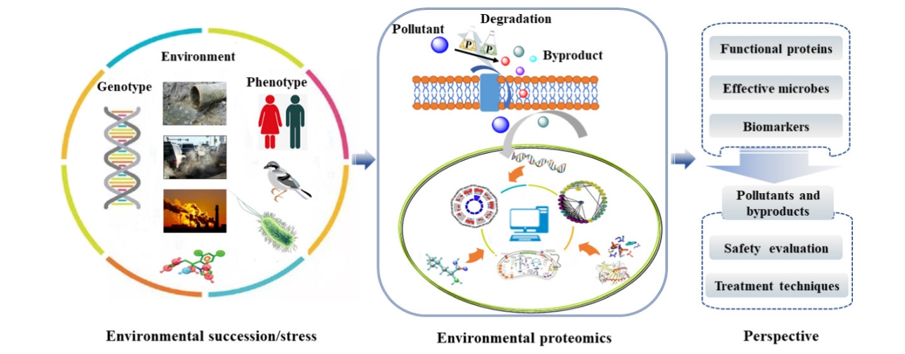 environmental-science-research-2