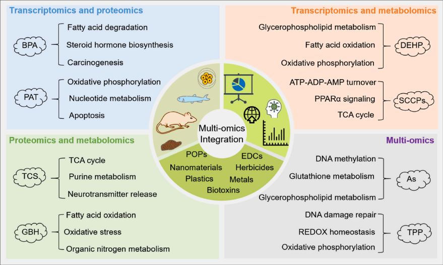 environmental-science-research-4