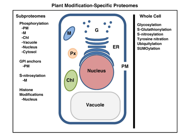 agricultural-and-plant-research-2