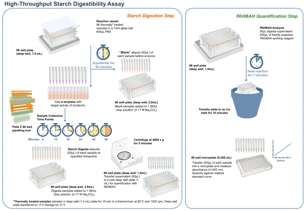 starch-digestibility-testing-service1
