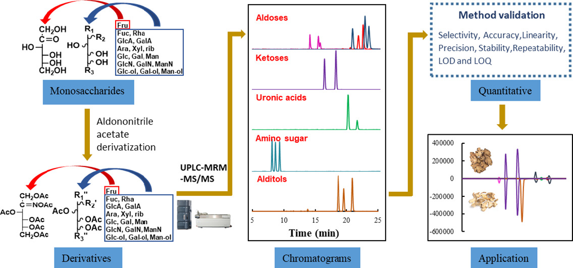 1981241073775267840-polysaccharide-composition-analysis-service1.jpg