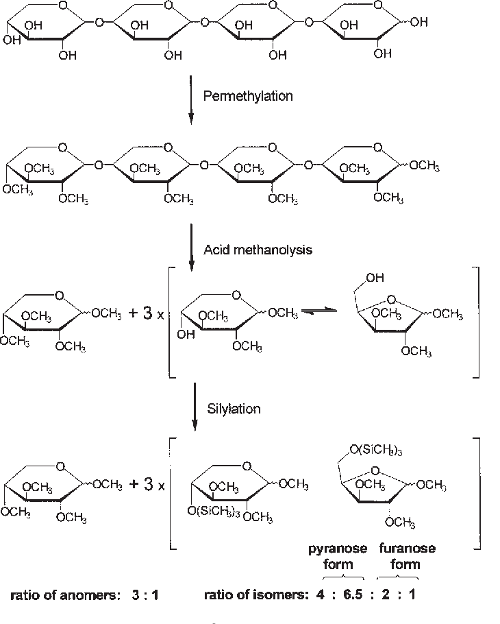 polysaccharide-methylation-analysis-service1.png