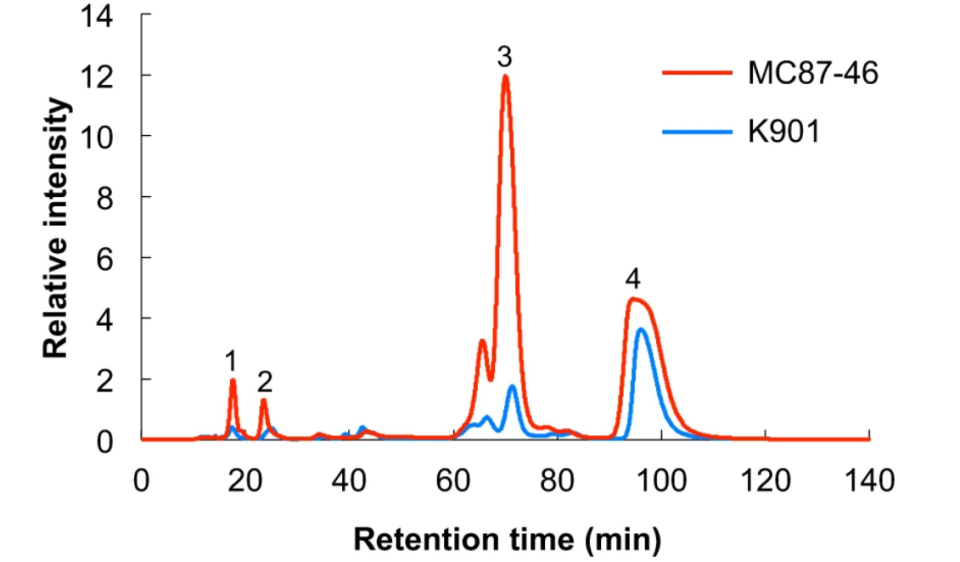 isomaltose-analysis-service2