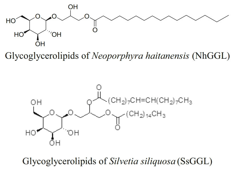 1981655517672099840-glycoglycerolipids-analysis-service1.png