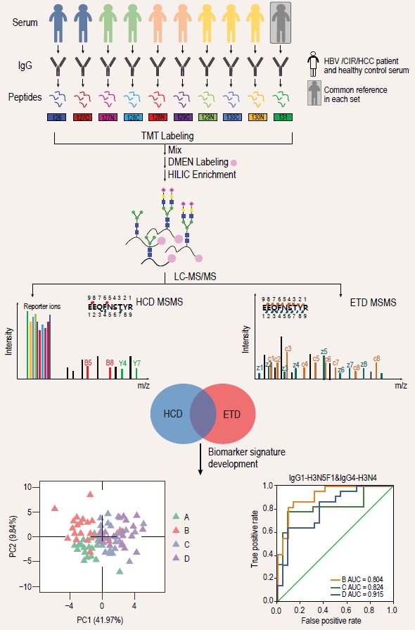 1981658078319857664-glycopeptide-mass-spectrometry-quantitative-analysis-service1.jpg