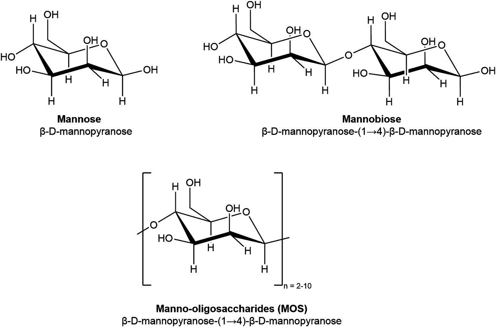 mannan-oligosaccharides-analysis-service1.jpg
