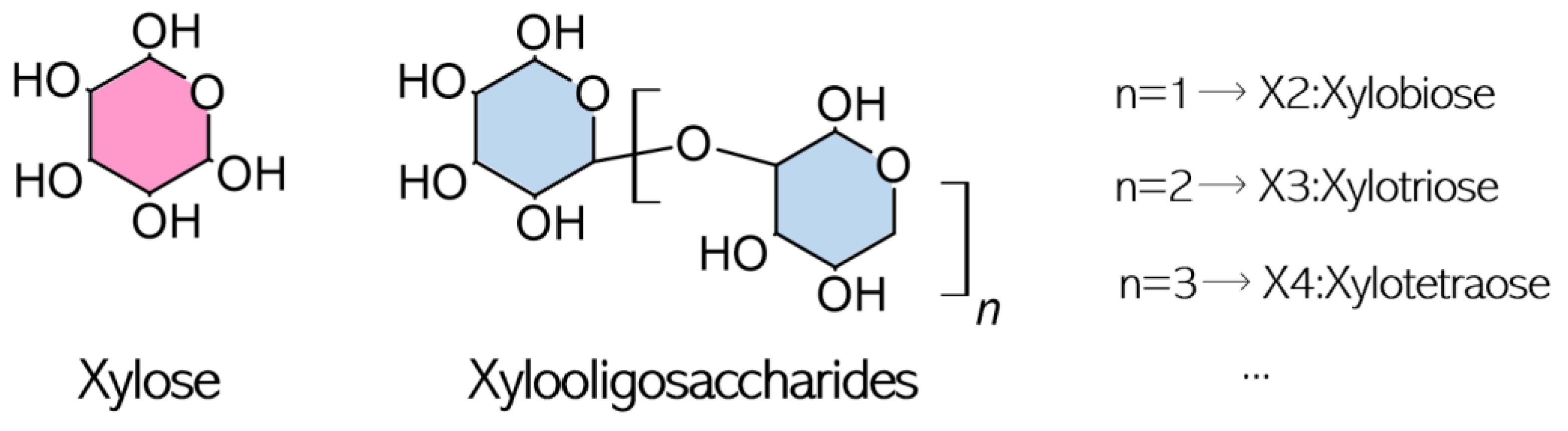 xylooligosaccharide-analysis-service1.png