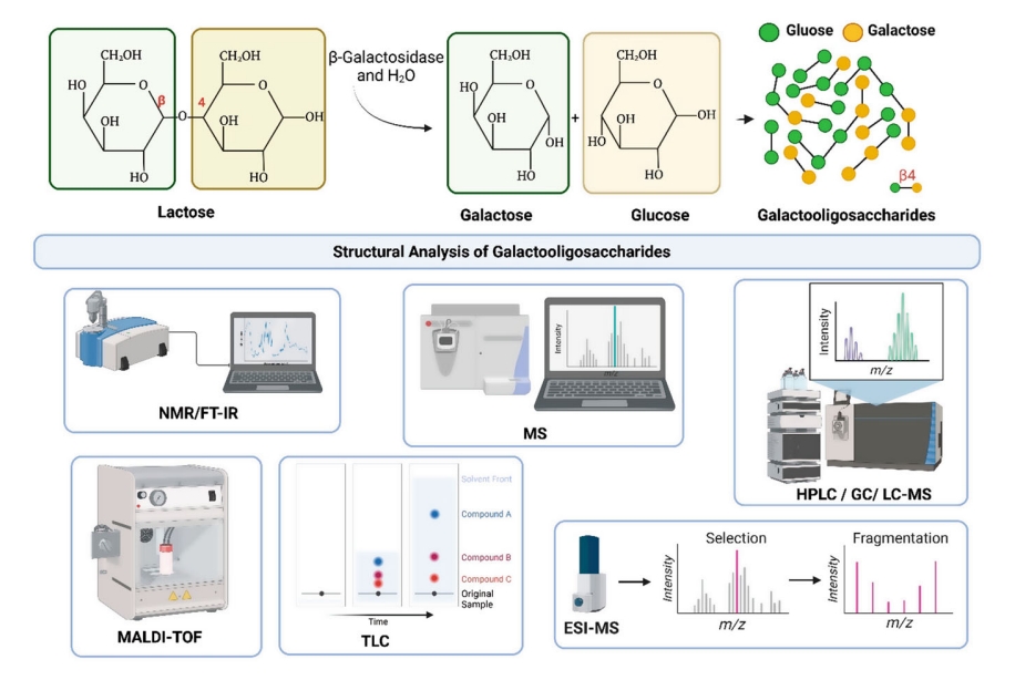galactooligosaccharide-analysis-service2.jpg