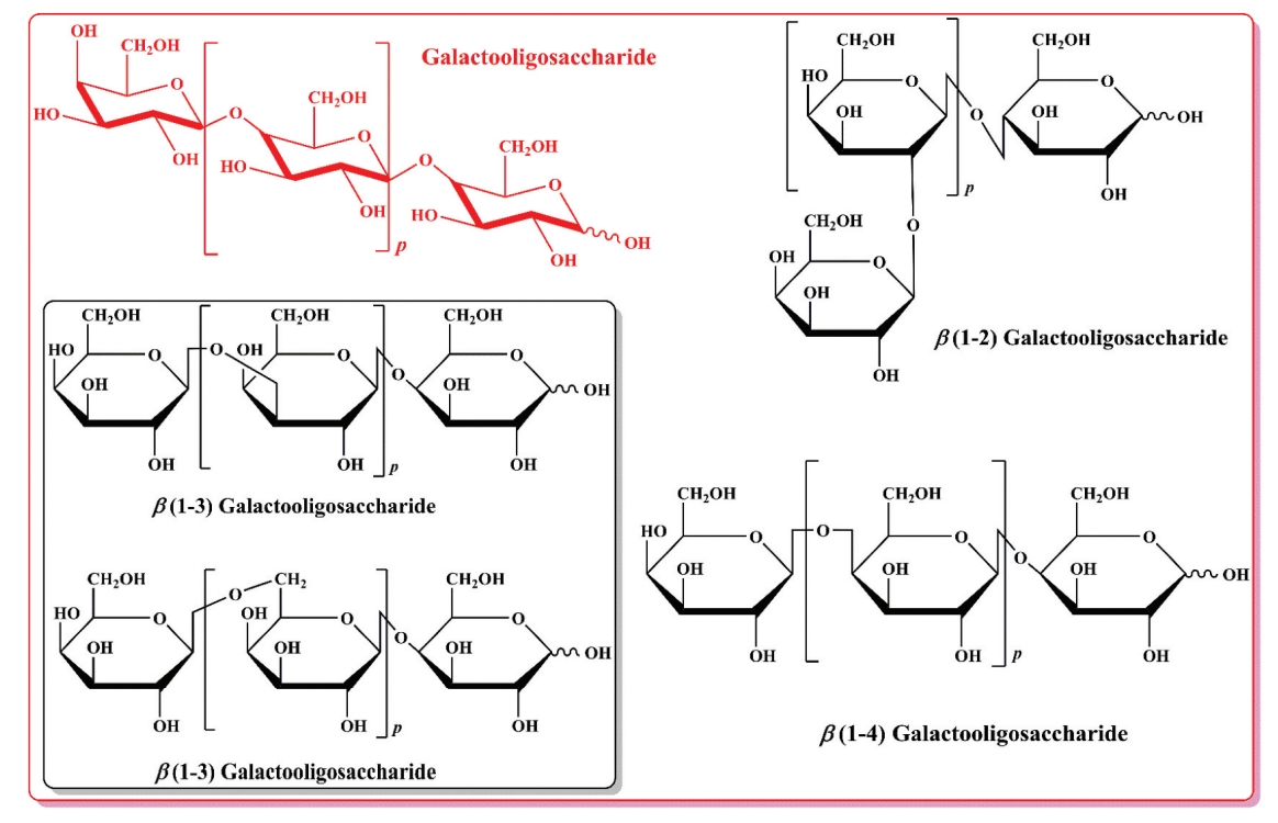 galactooligosaccharide-analysis-service1.jpg