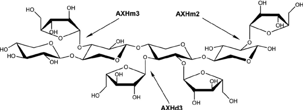 arabinoxylooligosaccharide-analysis-service1.png