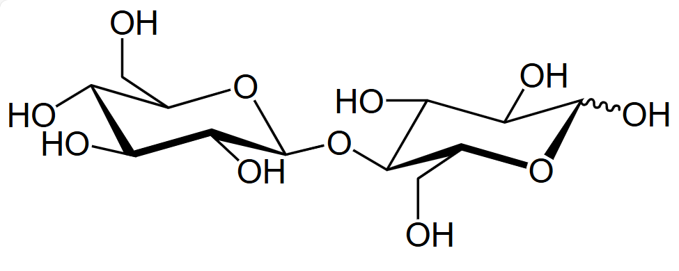 cellobiose-analysis-service1