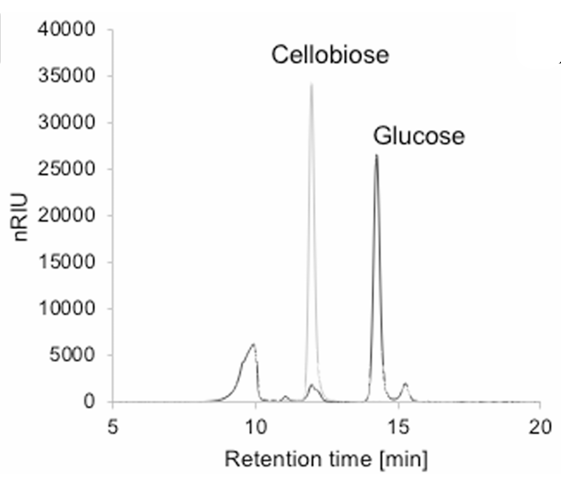 cellobiose-analysis-service2