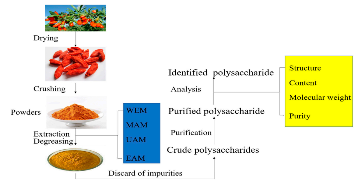 1983043912319225856-lycium-barbarum-polysaccharide-analysis-service2.PNG