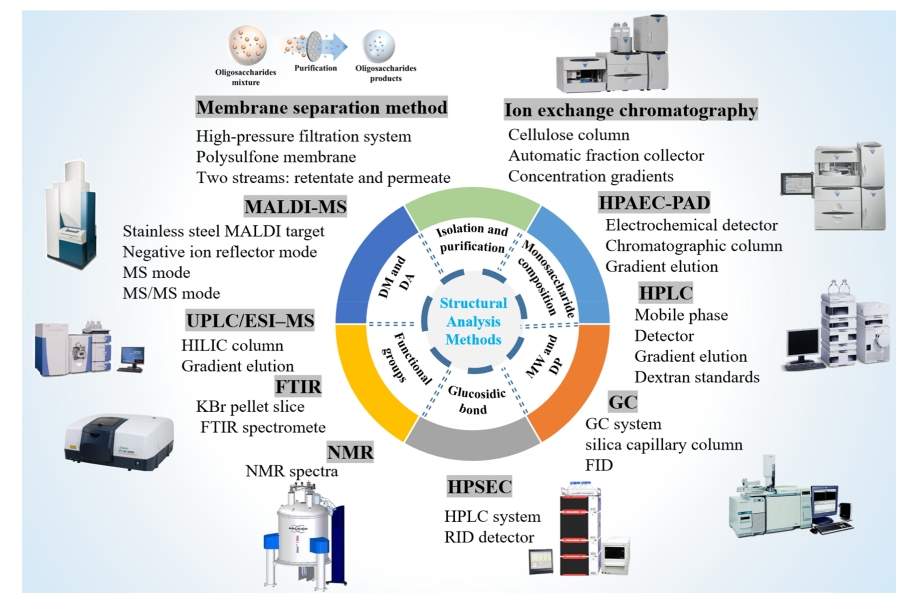 pectic-oligosaccharide-analysis-service2.png