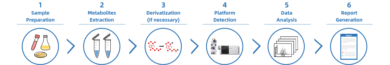monosaccharide-metabolism-analysis-service3