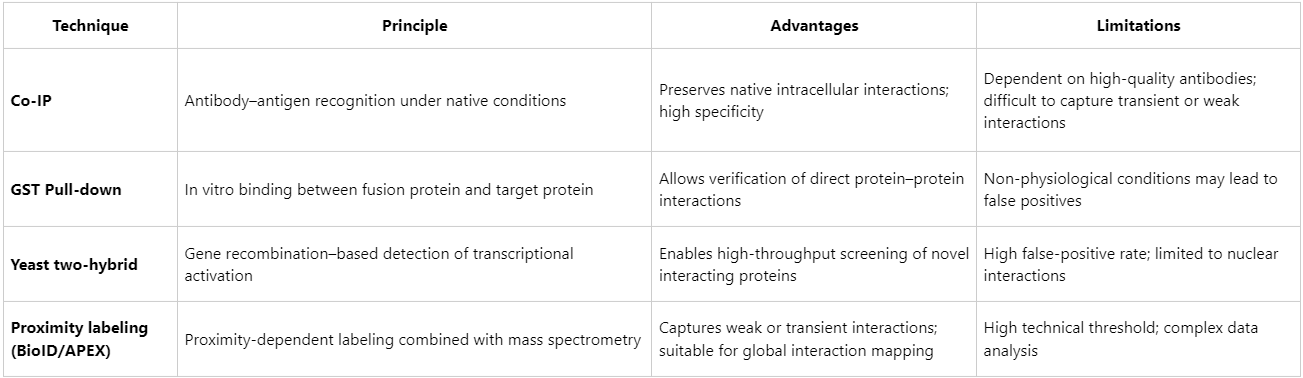 what-is-co-immunoprecipitation-co-ip