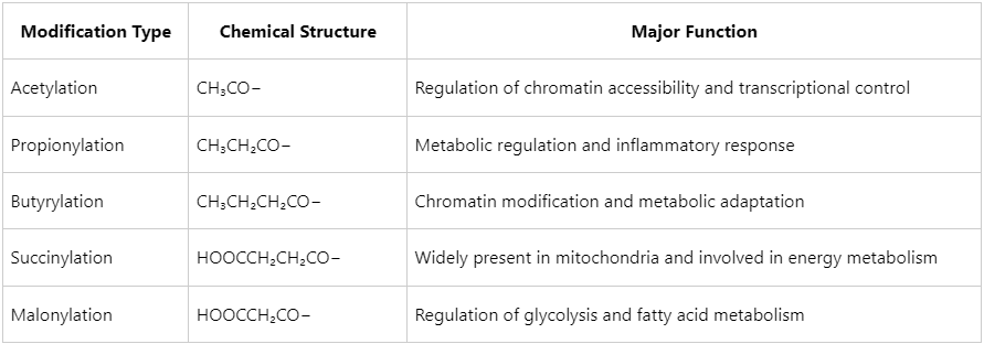 what-is-acylation-proteomics